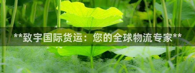 尊龙凯时有限公司：**致宇国际货运：您的全球物流专家**