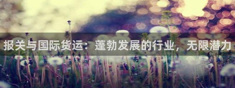 尊龙手机版下载：报关与国际货运：蓬勃发展的行业，无限潜力
