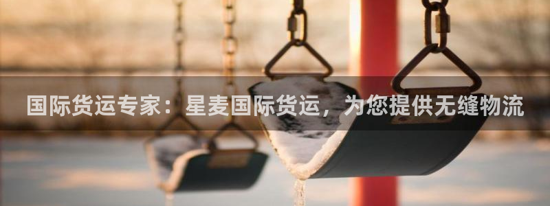 尊龙凯时官网平台：国际货运专家：星麦国际货运，为您提供无