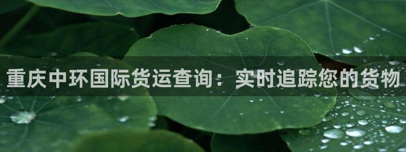 尊龙人生就是博登录：重庆中环国际货运查询：实时追踪您的货