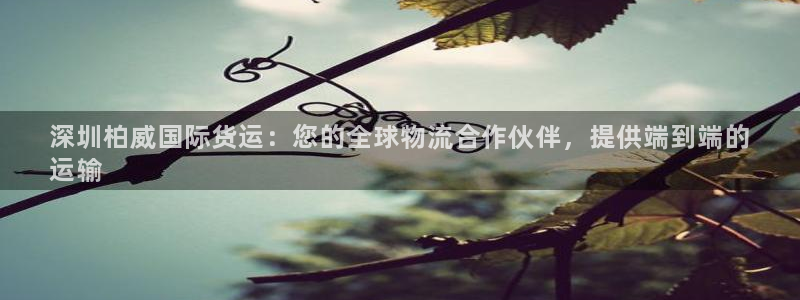 尊龙集团官网：深圳柏威国际货运：您的全球物流合作伙伴，提