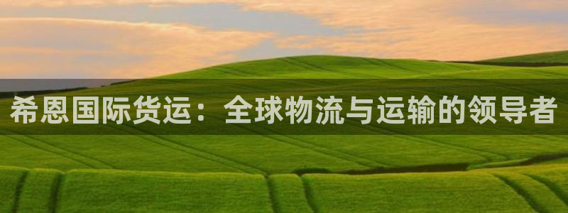尊龙凯时下载官方正版：希恩国际货运：全球物流与运输的领导