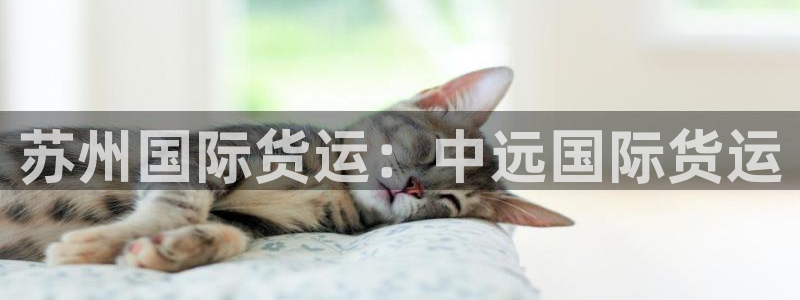 尊龙用现金一下-直接访问agbaofu.wang|ag暴