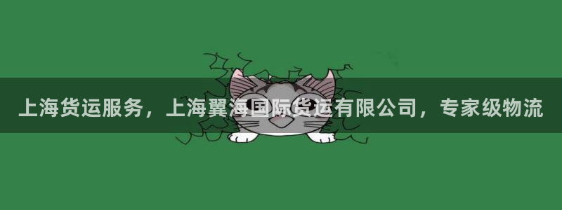 尊龙凯时网页版：上海货运服务，上海翼海国际货运有限公司，
