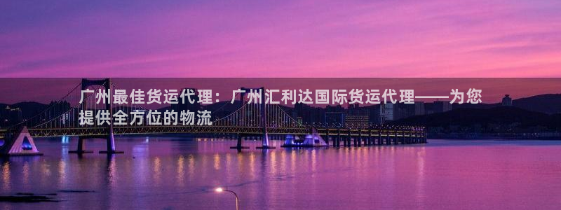 尊龙凯时的企业文化：广州最佳货运代理：广州汇利达国际货运