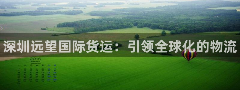 尊龙人生就是博网站：深圳远望国际货运：引领全球化的物流