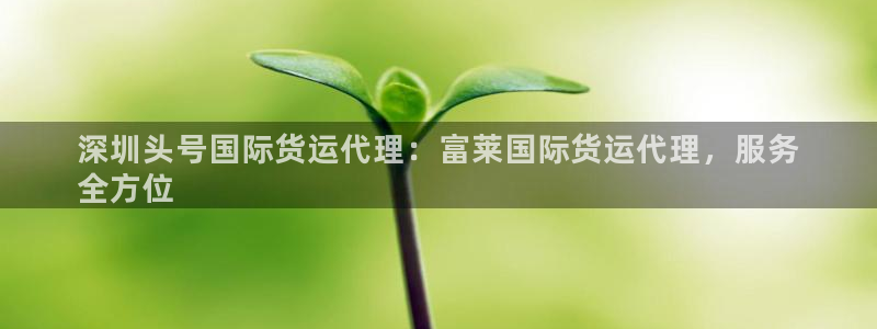 尊龙凯时为什么不封：深圳头号国际货运代理：富莱国际货运代