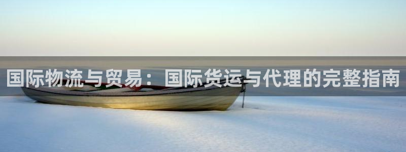 尊龙官网网站：国际物流与贸易：国际货运与代理的完整指南