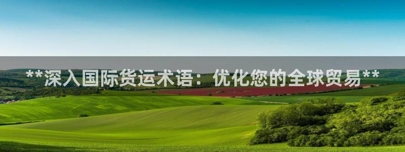 尊龙凯时链接：**深入国际货运术语：优化您的全球贸易**
