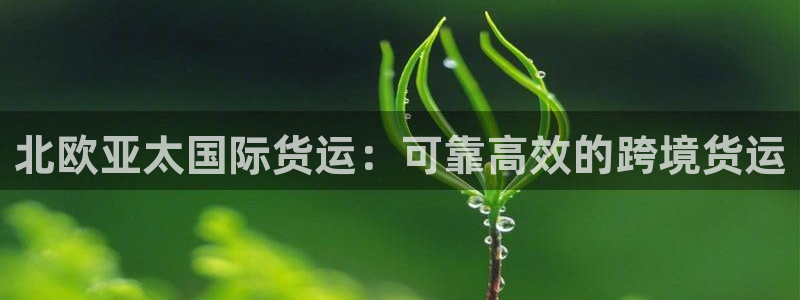 尊龙凯时链接：北欧亚太国际货运：可靠高效的跨境货运