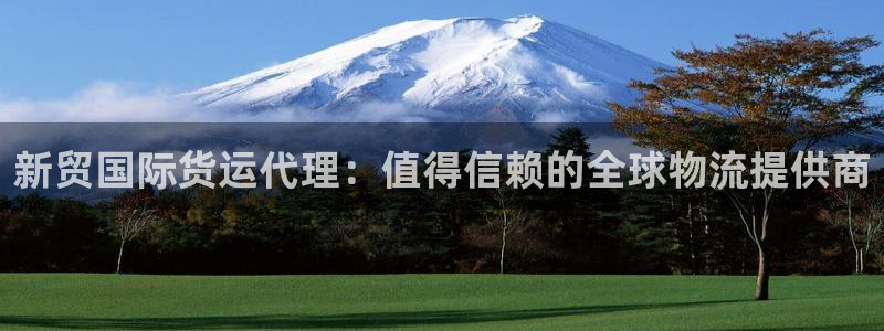 z6com尊龙凯时代理：新贸国际货运代理：值得信赖的全球