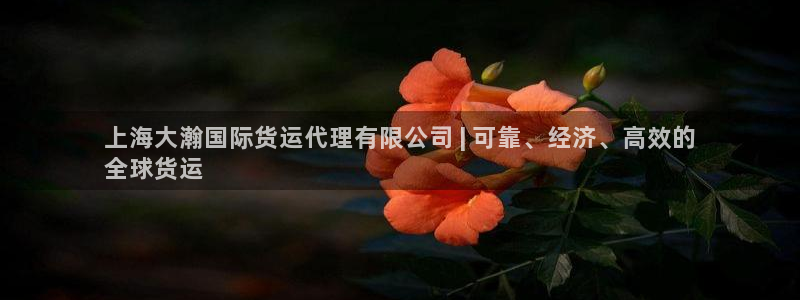 尊龙凯时登陆入口：上海大瀚国际货运代理有限公司 | 可靠