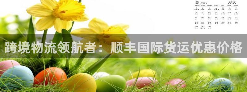 尊龙凯时里面的洗码：跨境物流领航者：顺丰国际货运优惠价格