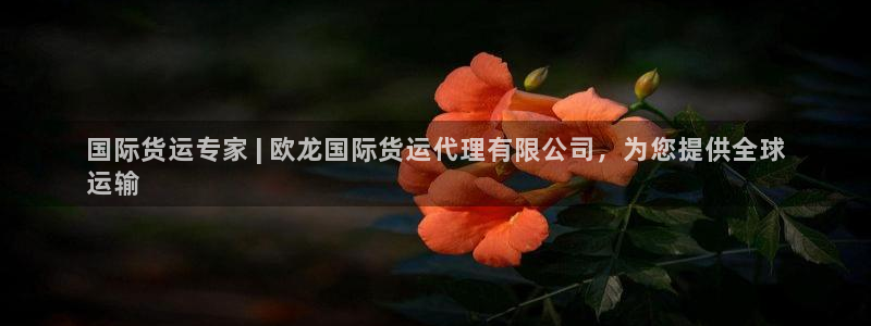 尊龙凯时人生就是博·(中国)官网首页：国际货运专家 | 