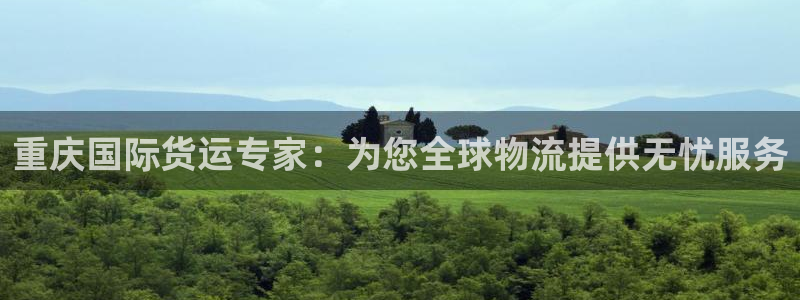 尊龙人生就是博网站下载：重庆国际货运专家：为您全球物流提