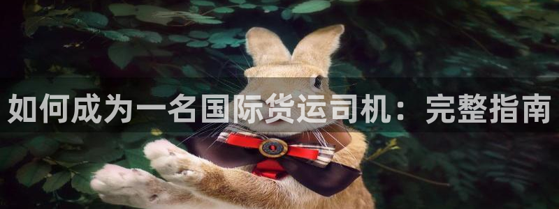 尊龙人生就是博送38：如何成为一名国际货运司机：完整指南