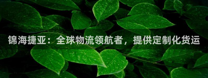 尊龙人生就是博i可靠吗：锦海捷亚：全球物流领航者，提供定