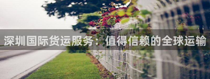 尊龙凯时老板是谁：深圳国际货运服务：值得信赖的全球运输
