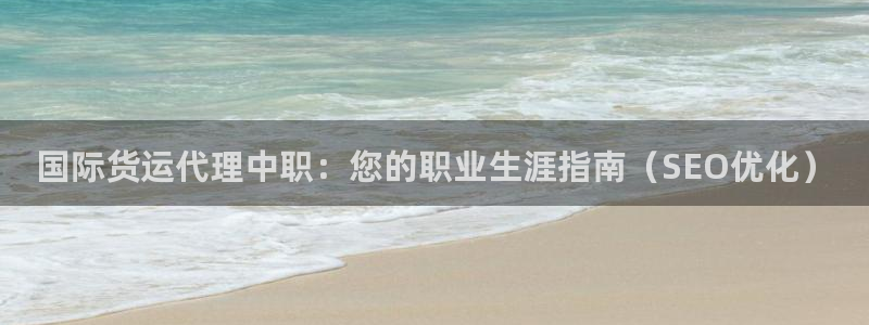 尊龙人生就是博首页：国际货运代理中职：您的职业生涯指南（