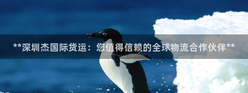 尊龙凯时防屏蔽网址：**深圳杰国际货运：您值得信赖的全球