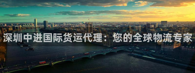 尊龙官网国际：深圳中进国际货运代理：您的全球物流专家