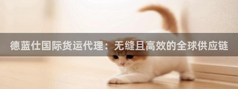 尊龙ag：德蓝仕国际货运代理：无缝且高效的全球供应链
