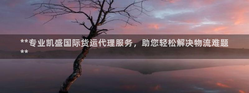 尊龙旗舰app：**专业凯盛国际货运代理服务，助您轻松解