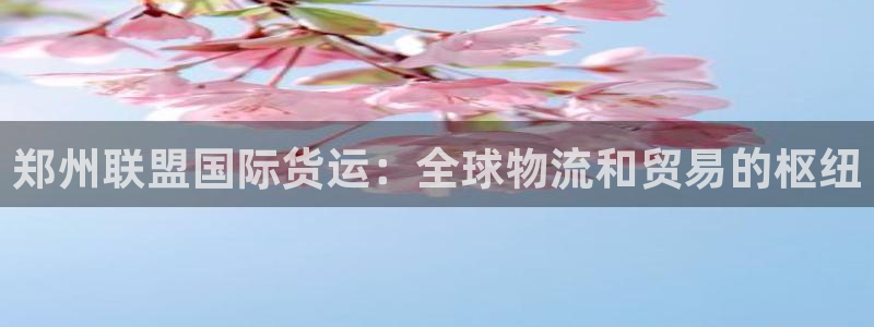 尊龙人生就是博一下首页：郑州联盟国际货运：全球物流和贸易