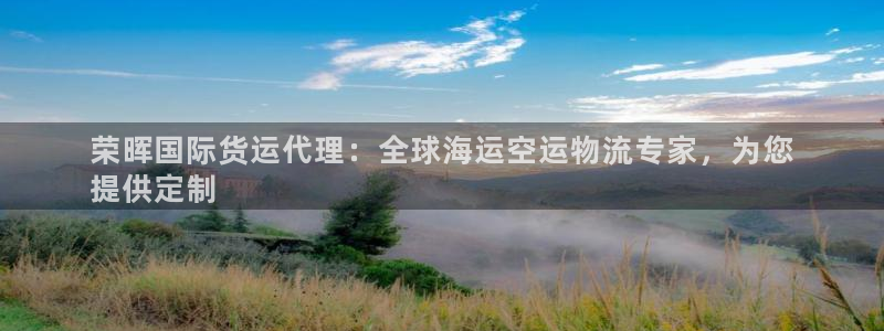 尊龙t300和t400哪个好：荣晖国际货运代理：全球海运