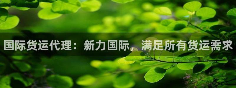 尊龙凯时泰安：国际货运代理：新力国际，满足所有货运需求