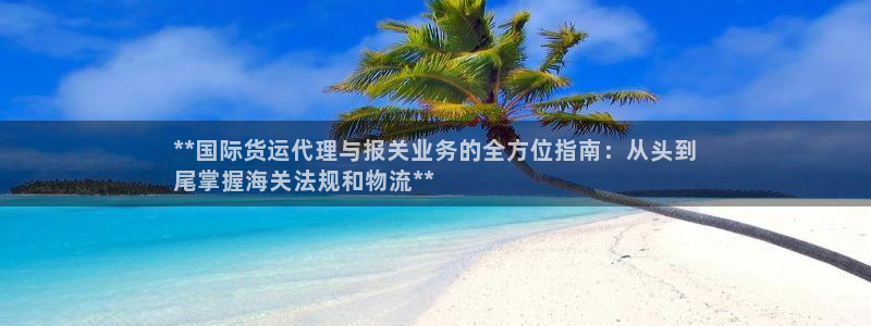 下载尊龙：**国际货运代理与报关业务的全方位指南：从头到