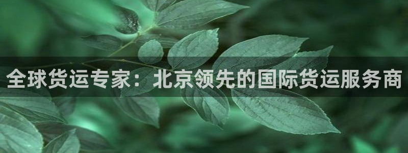 尊龙ag旗舰厅登录 租车app下载：全球货运专家：北京领