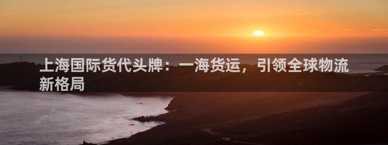 尊龙官网下载：上海国际货代头牌：一海货运，引领全球物流
