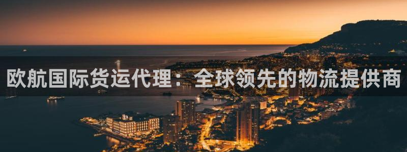 尊龙d88平台：欧航国际货运代理：全球领先的物流提供商