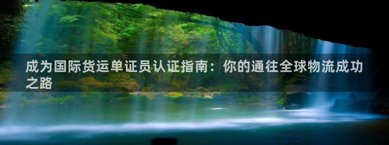 尊龙手机官方客户端下载安装：成为国际货运单证员认证指南：