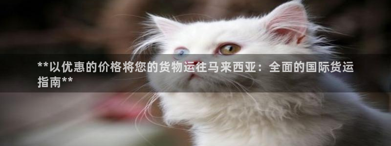 尊龙科技：**以优惠的价格将您的货物运往马来西亚：全面的