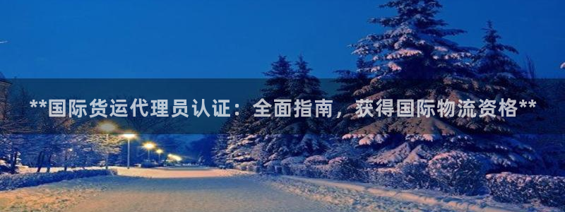 尊龙凯时提款冻卡吗：**国际货运代理员认证：全面指南，获