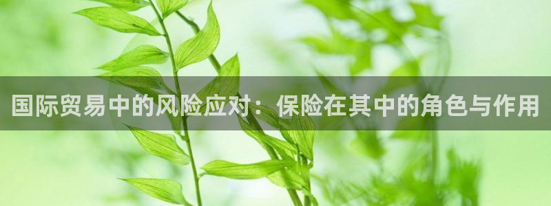 尊龙下载推荐网站