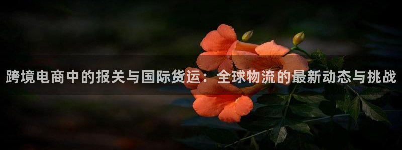 尊龙用现金一下-直接访问agbaofu.wang|ag暴富网