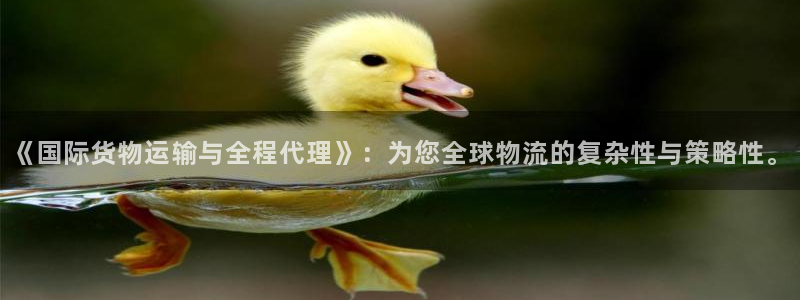 尊龙人生就是博i可靠吗
