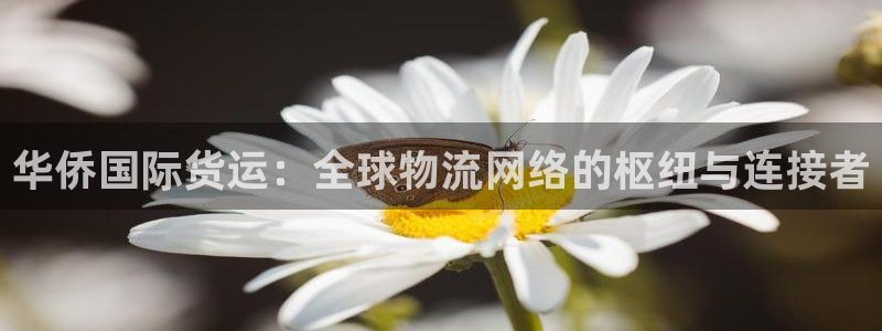 尊龙 10