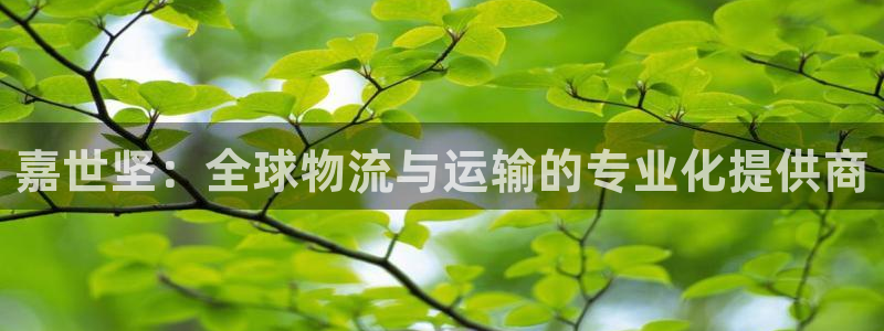 尊龙凯时网页版