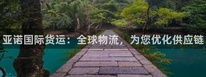 尊龙人生就是博登录准认来就送38：亚诺国际货运：全球物流