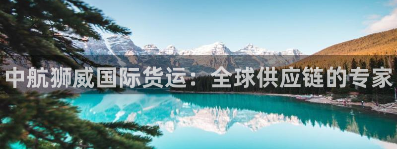 尊龙人生就是博l：中航狮威国际货运：全球供应链的专家